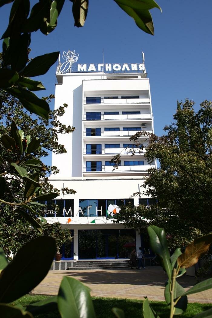 Хостел Магнолия Сочи-70